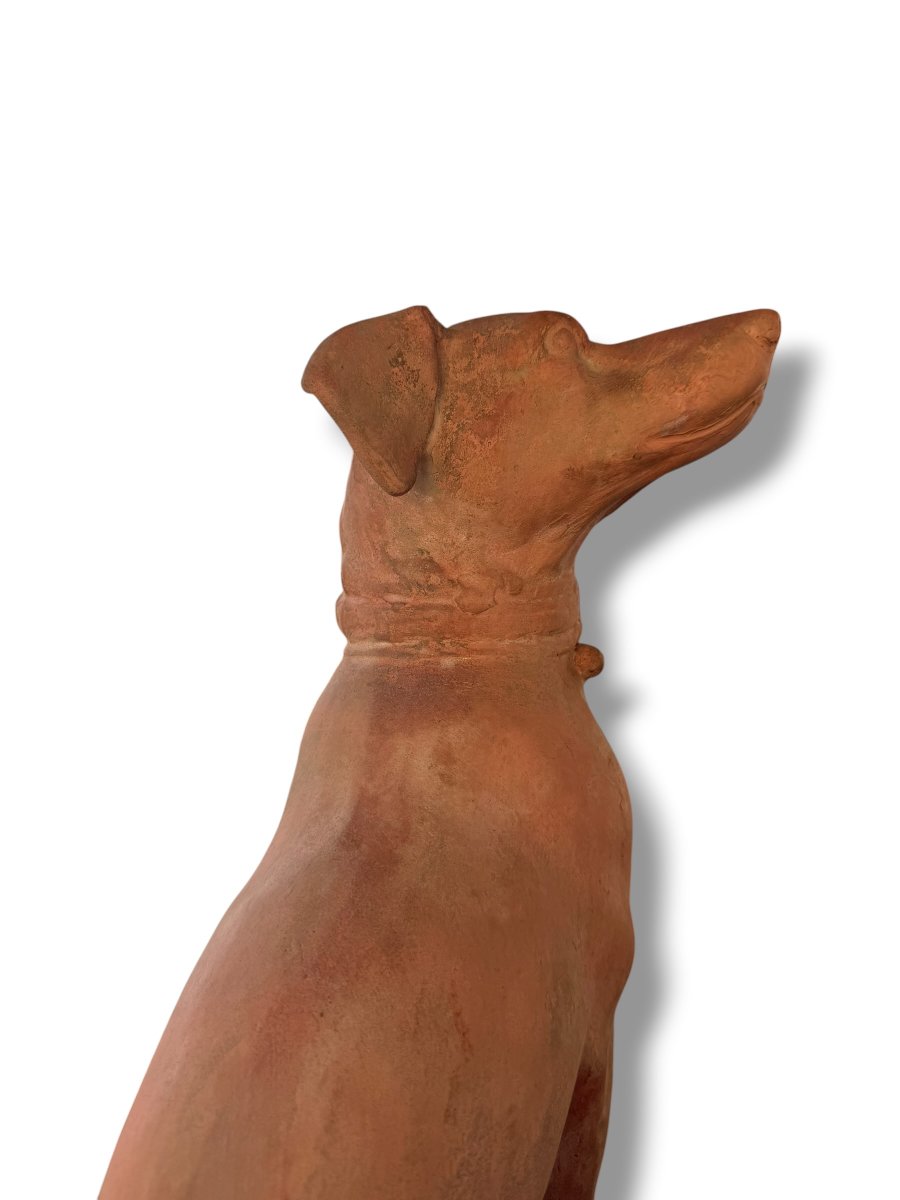 Pair Of Large Decorative Terracotta Dogs-photo-3