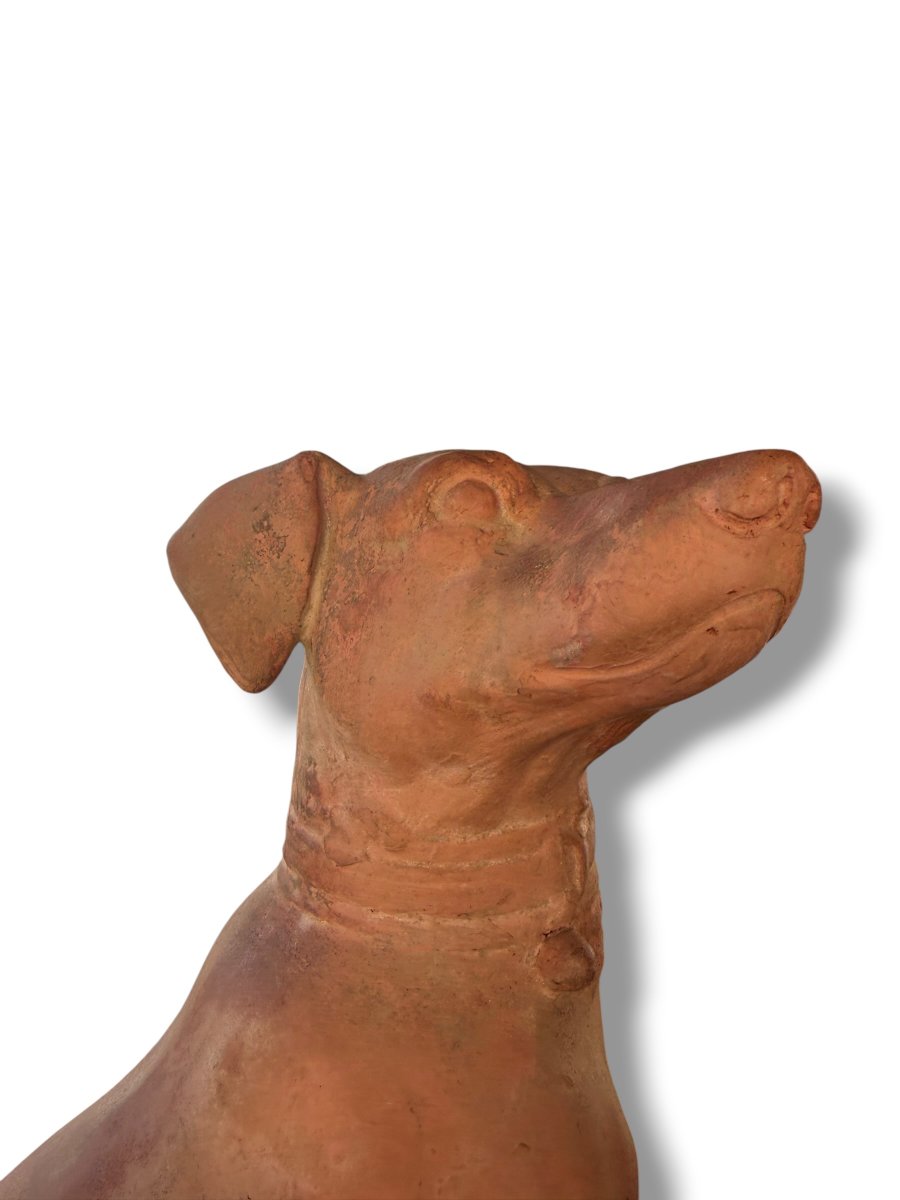 Pair Of Large Decorative Terracotta Dogs-photo-4
