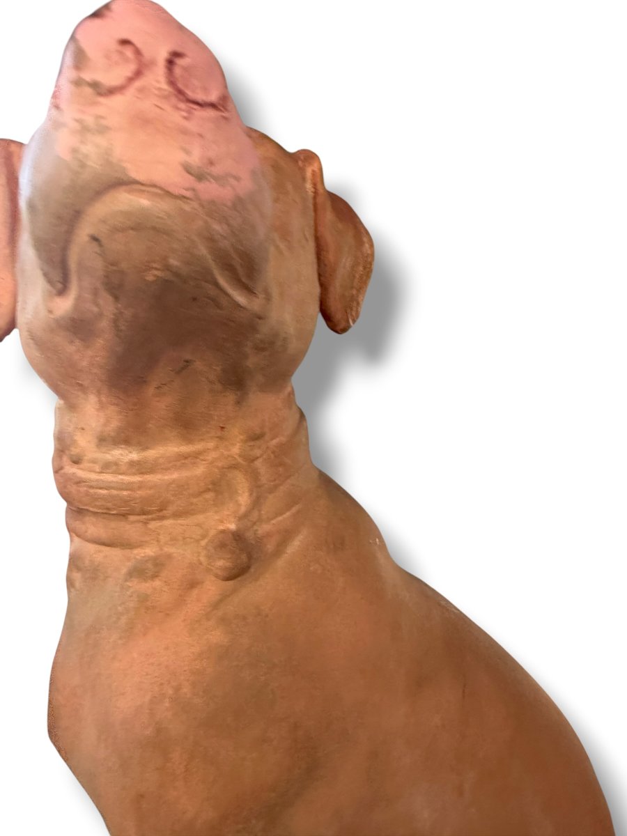 Pair Of Large Decorative Terracotta Dogs-photo-5