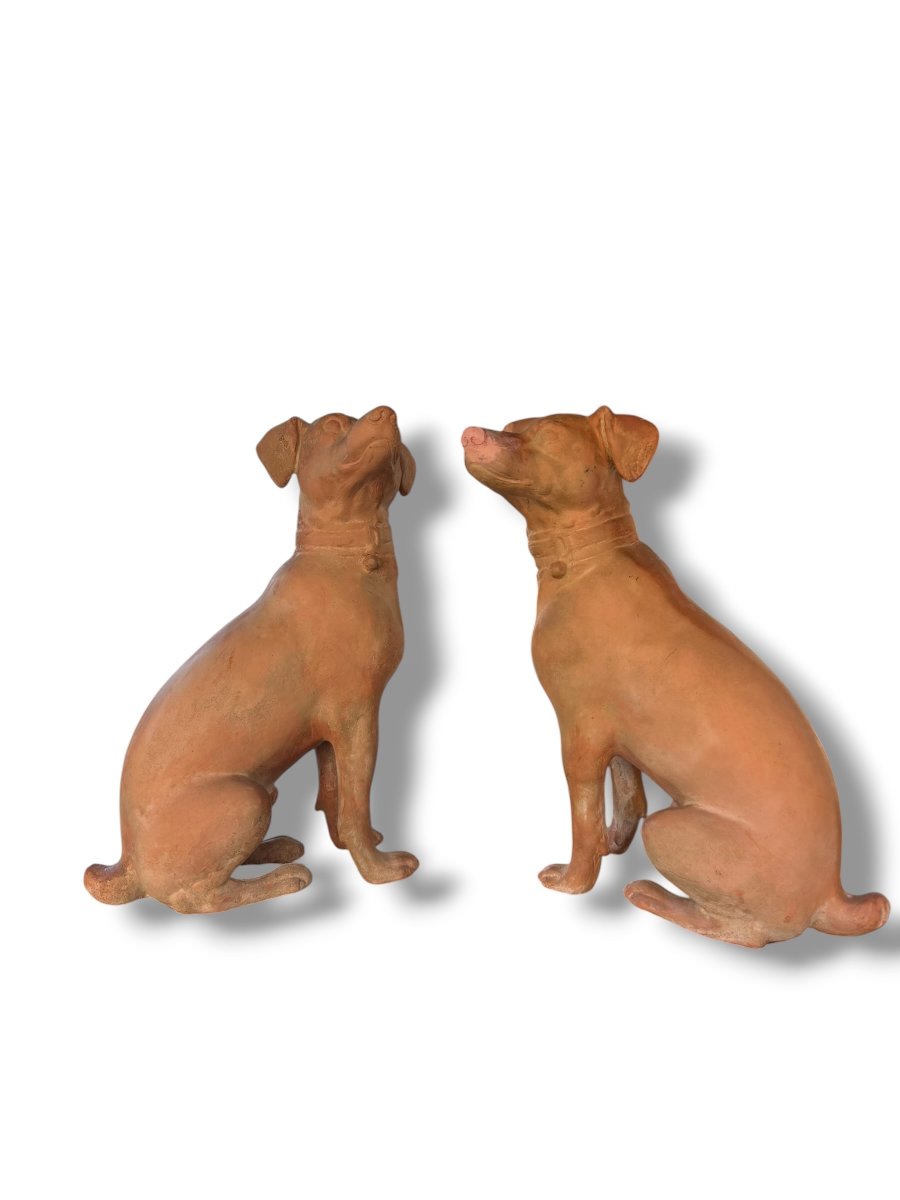 Pair Of Large Decorative Terracotta Dogs-photo-8