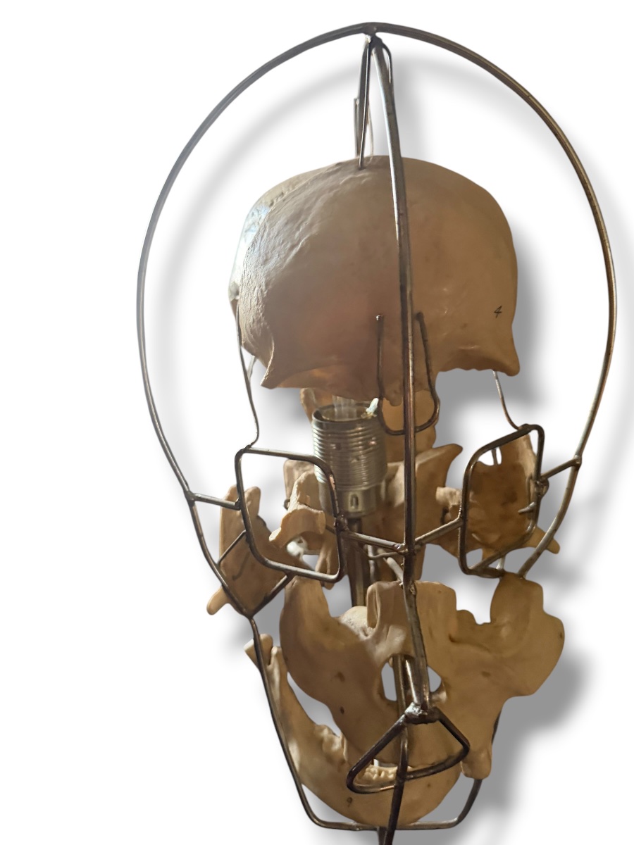 Lampe Einstein Vanité Maison Vincent Darré-photo-2