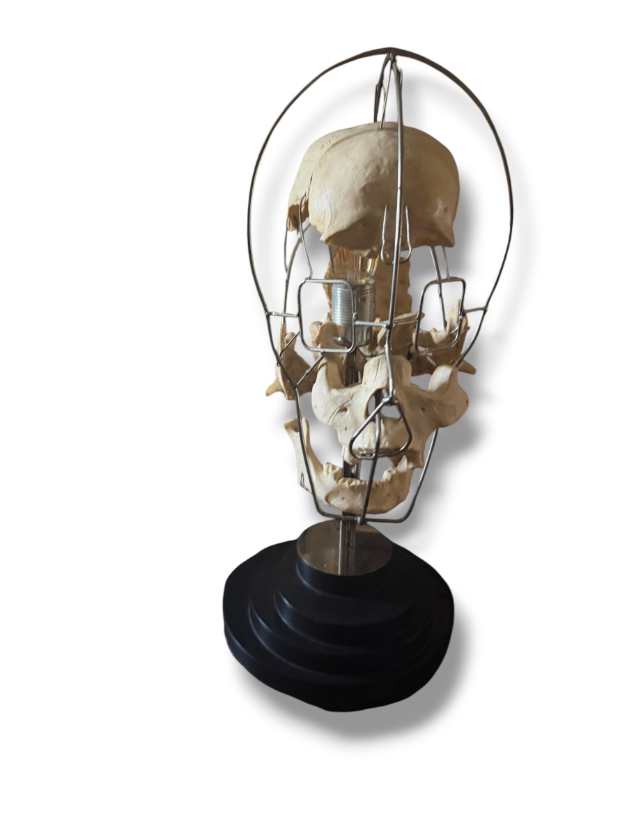 Lampe Einstein Vanité Maison Vincent Darré-photo-3