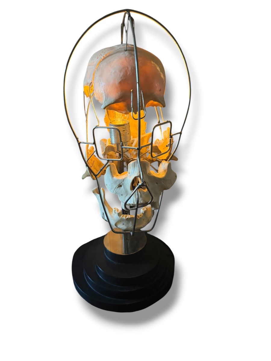 Lampe Einstein Vanité Maison Vincent Darré-photo-2