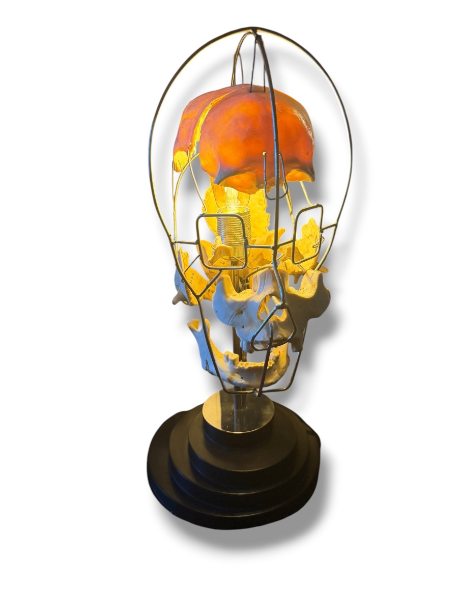 Lampe Einstein Vanité Maison Vincent Darré-photo-3