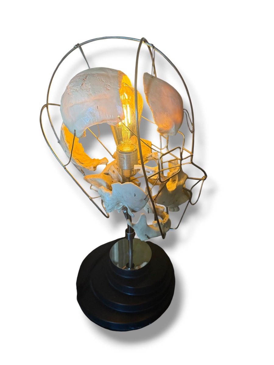 Lampe Einstein Vanité Maison Vincent Darré-photo-6