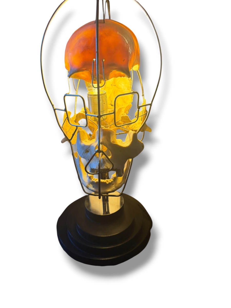 Lampe Einstein Vanité Maison Vincent Darré-photo-7