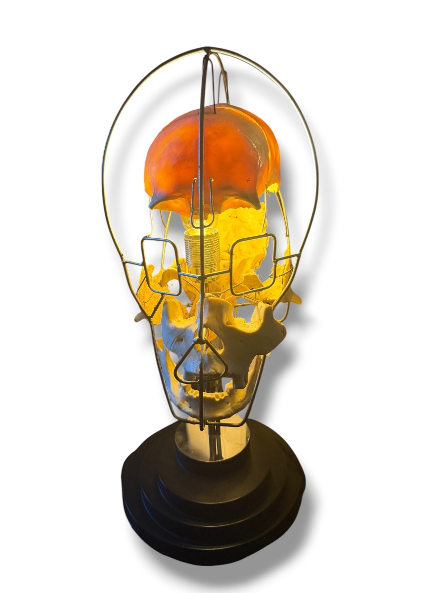 Lampe Einstein Vanité Maison Vincent Darré-photo-8