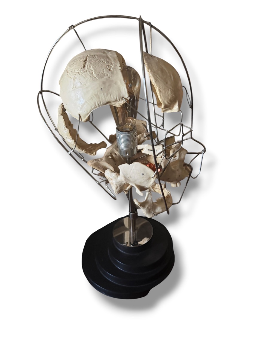 Lampe Einstein Vanité Maison Vincent Darré