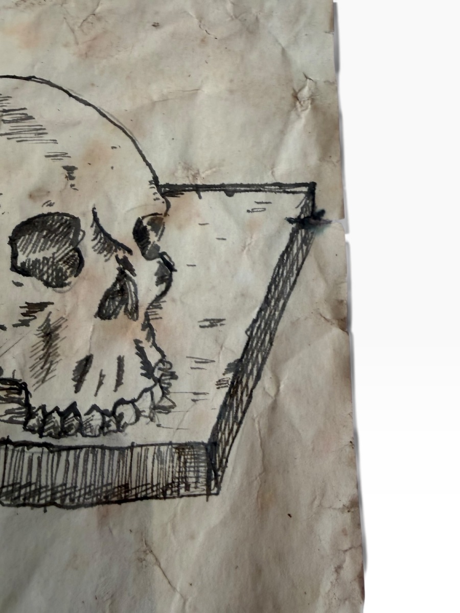 Vanity: Ink Drawing On Paper-photo-4