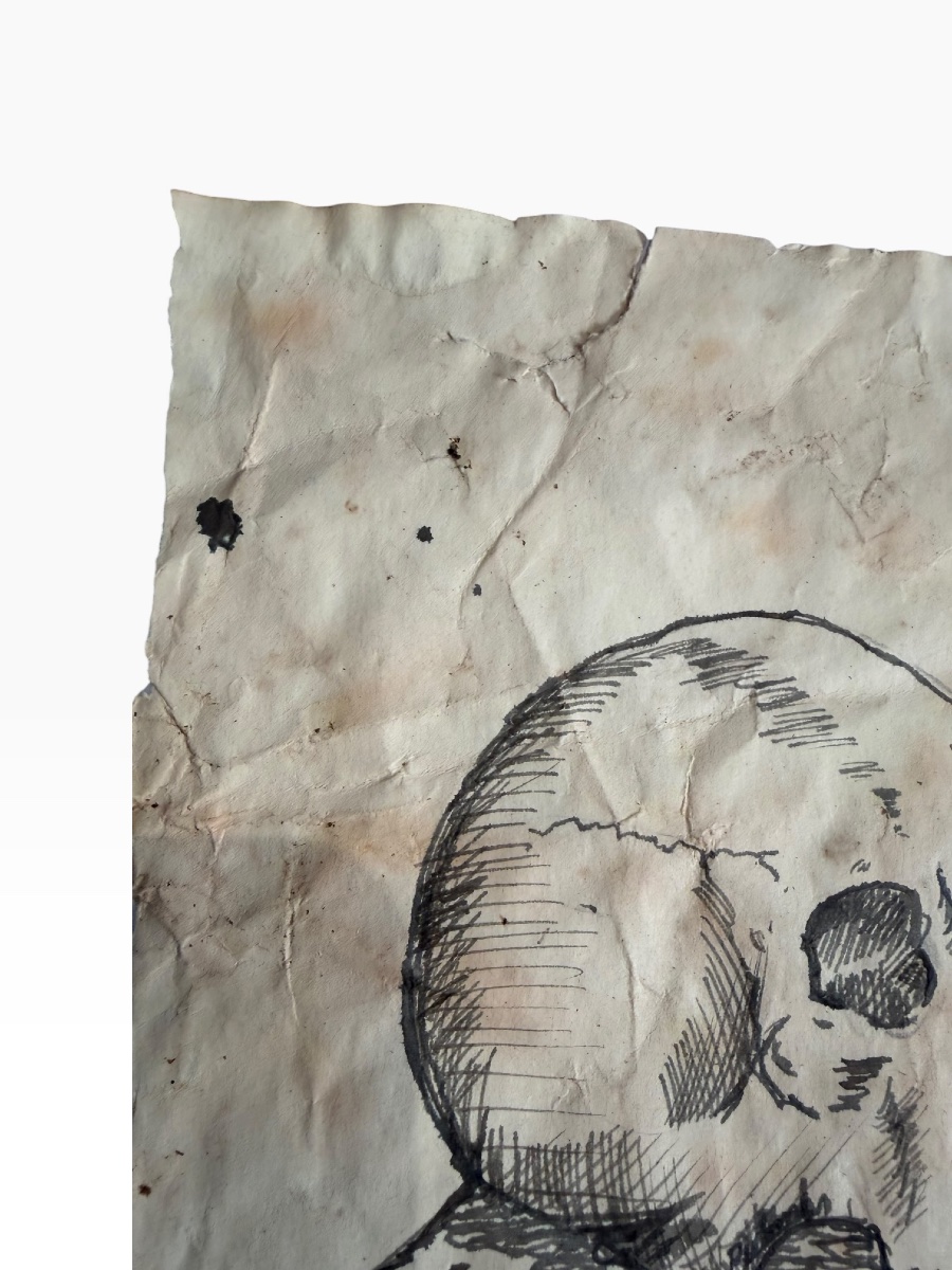 Vanity: Ink Drawing On Paper-photo-3