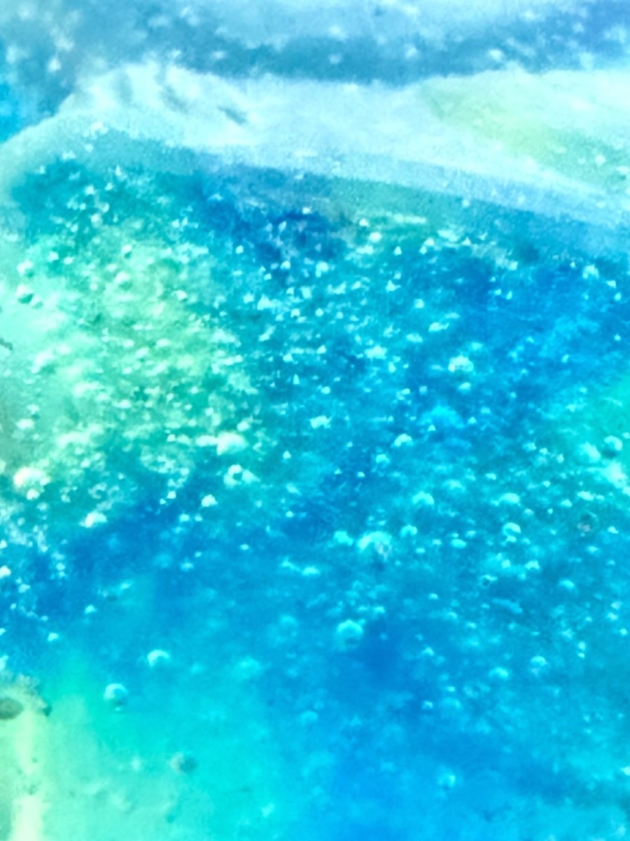 Daum Pair Of Fish Made Of Glass Paste-photo-3