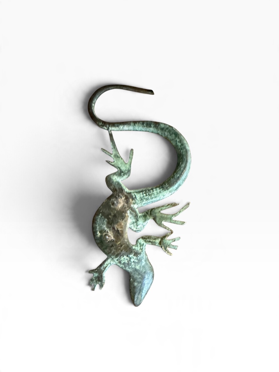 Bronze Salamander -photo-2