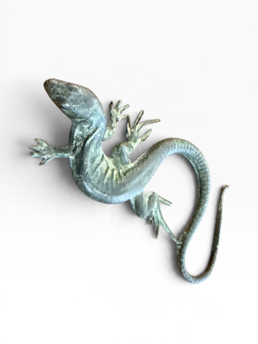 Bronze Salamander -photo-3