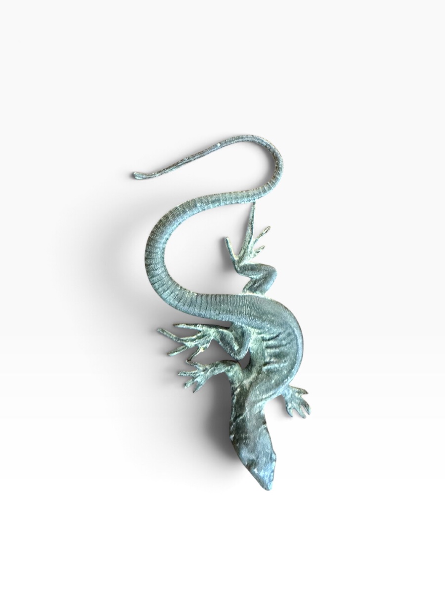 Bronze Salamander -photo-4