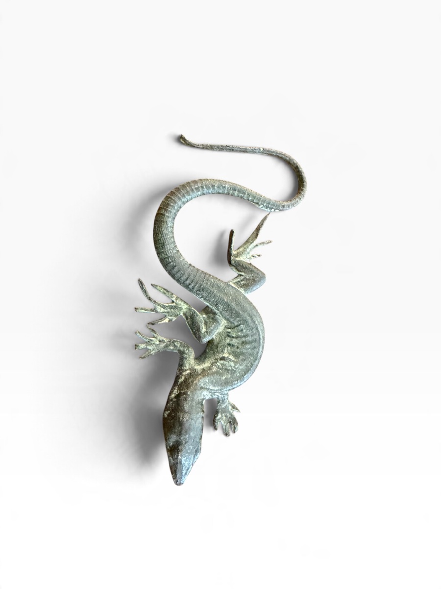 Bronze Salamander -photo-1