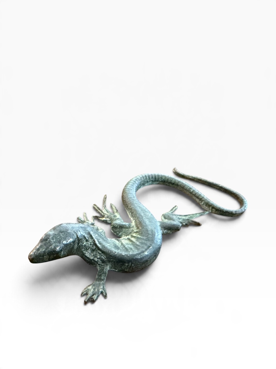 Bronze Salamander -photo-3