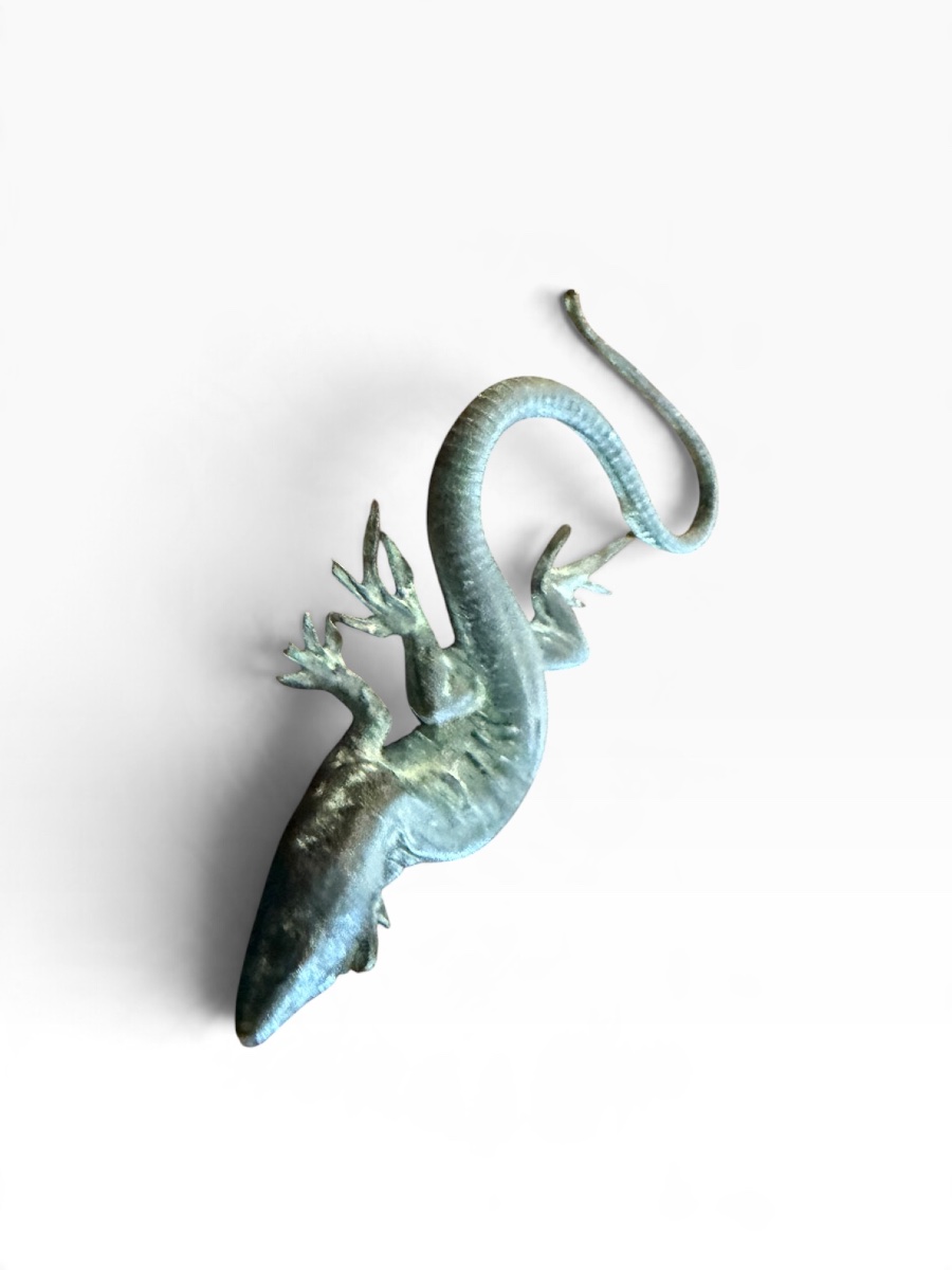 Bronze Salamander -photo-4