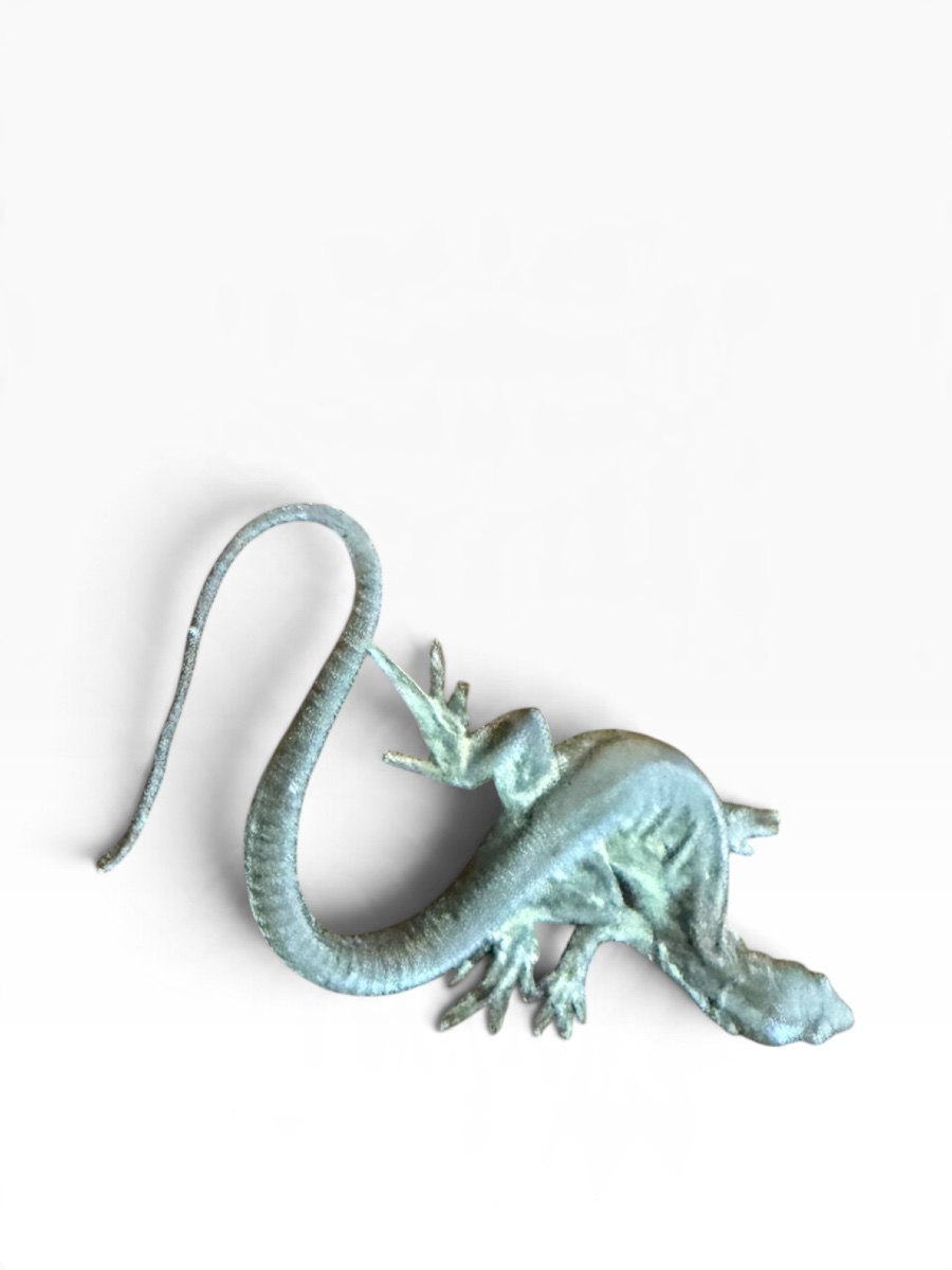 Bronze Salamander -photo-5
