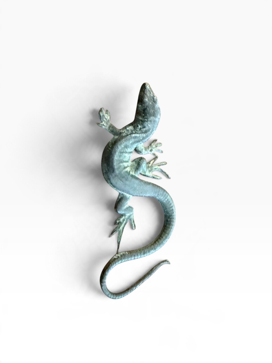 Bronze Salamander -photo-6