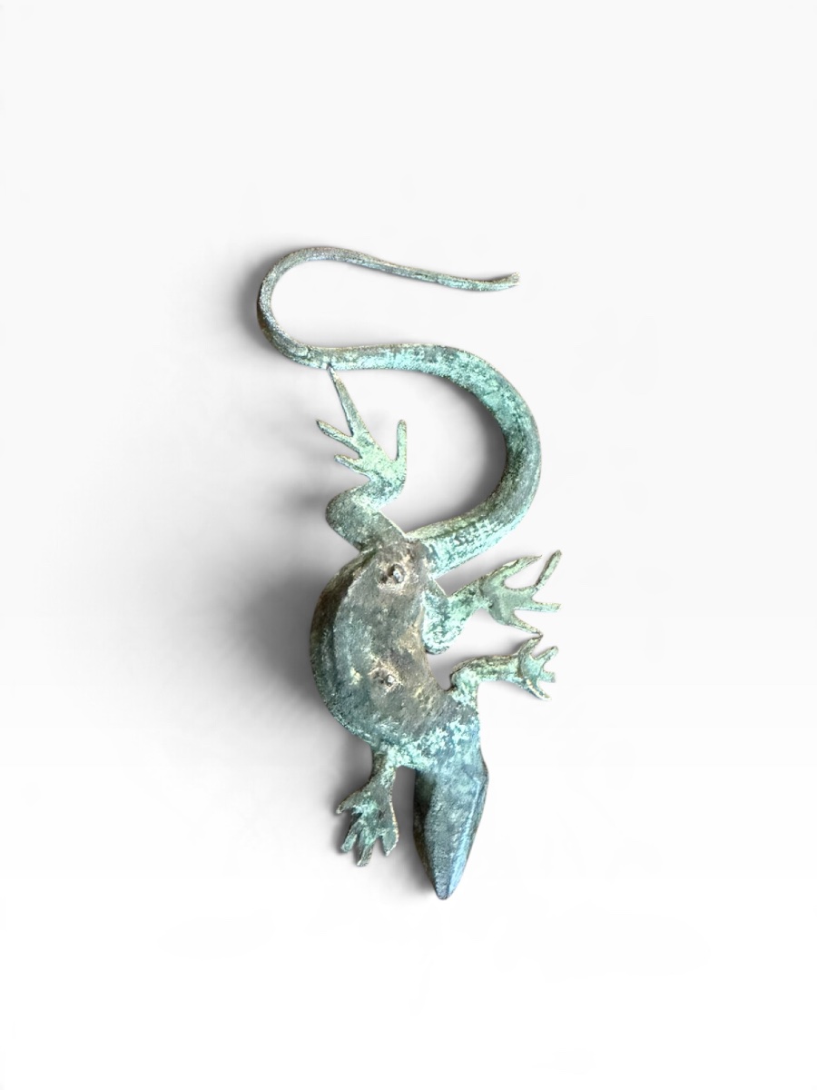 Bronze Salamander -photo-7