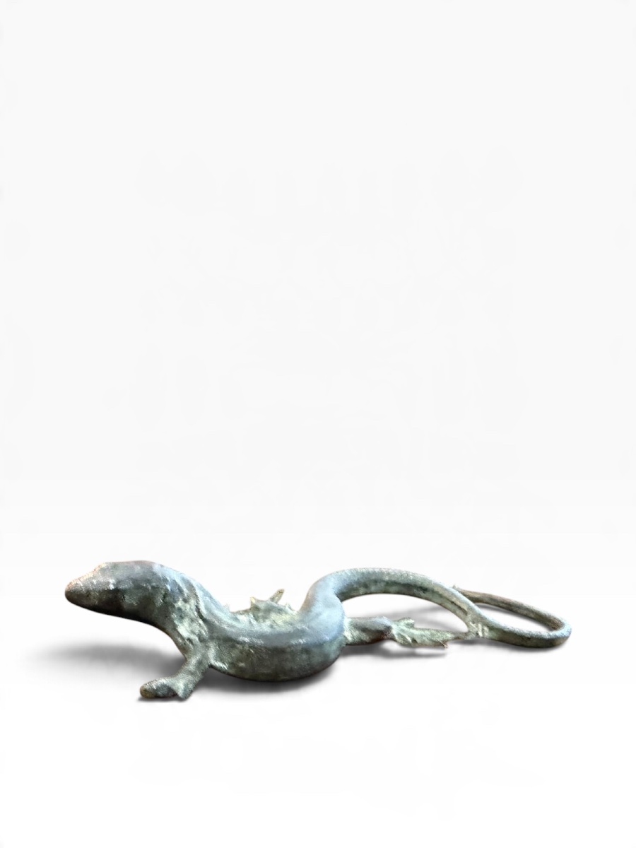 Bronze Salamander -photo-8