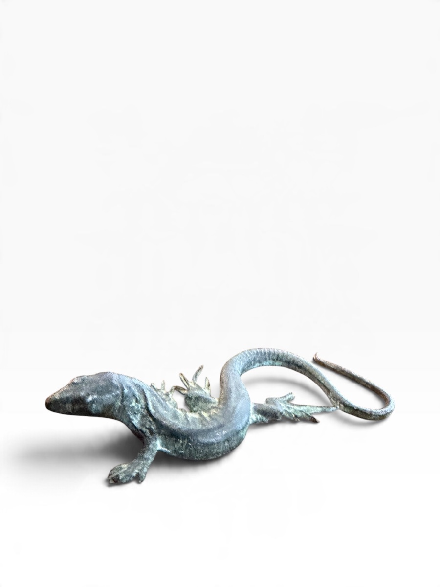 Bronze Salamander 