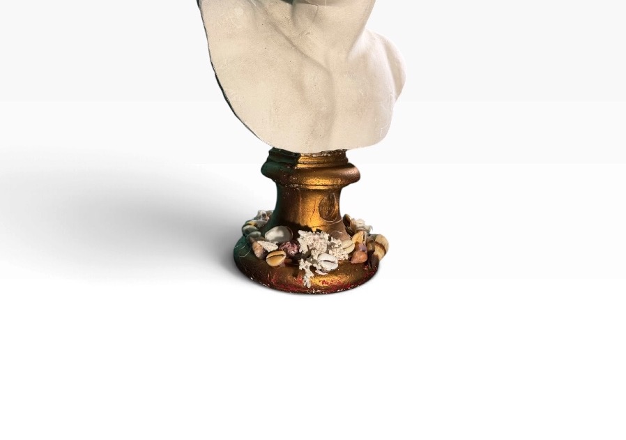 Decorative Seashell Bust-photo-2