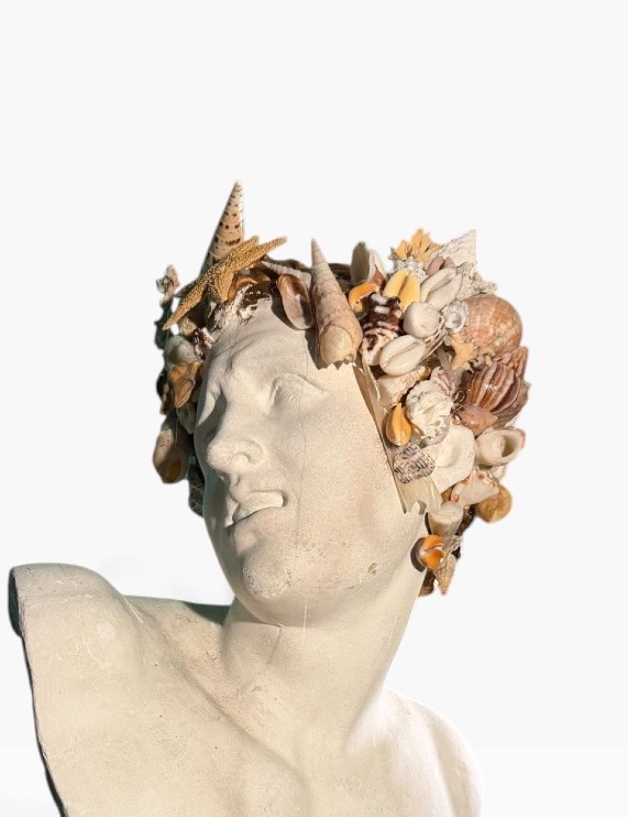 Decorative Seashell Bust-photo-3