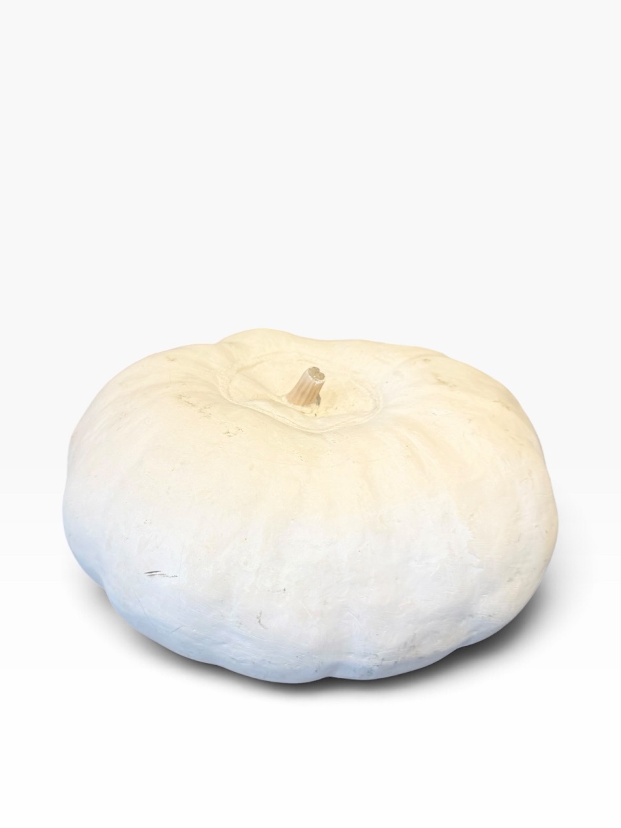 Courge citrouille en terre cuite trompe-l’œil-photo-7
