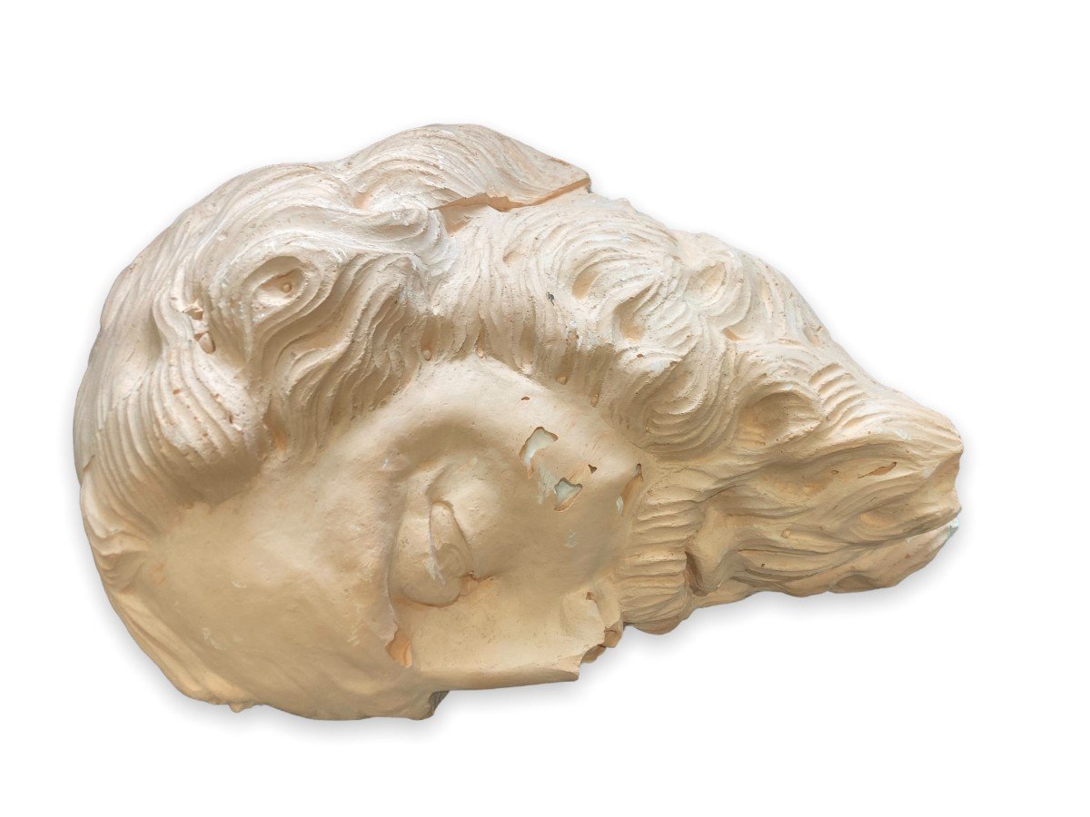 Huge Antique Style Plaster Head-photo-8