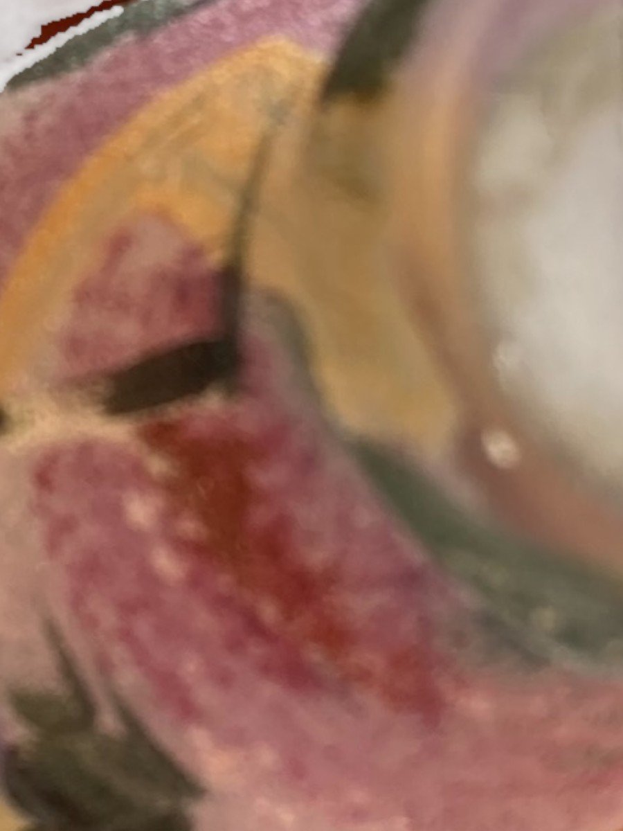Kolek Petit Vase En Verre Givré À Décor De Paysage -photo-4