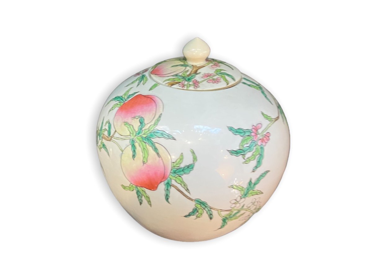 Paire De Pots à Gingembre Chinois  En Porcelaine à Décor d'Arbre Fruitier-photo-4