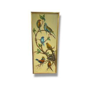 Etudes d'Oiseux Huile Sur Toile Par Morgantini