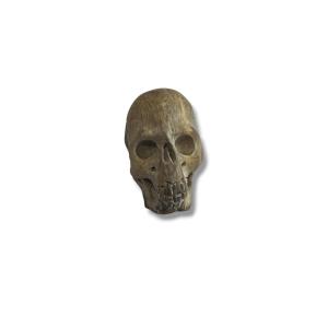 "memento Mori" Carved Wooden Skull Vanity