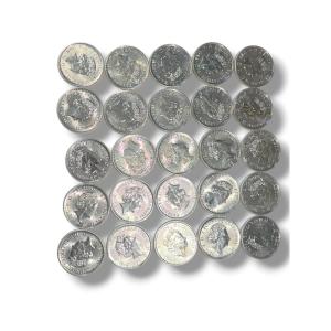 Lot de 25 pièces Argent massif 2 POUNDS ELIZABETH II
