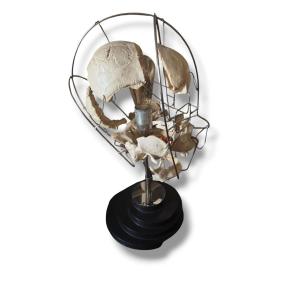 Lampe Einstein Vanité Maison Vincent Darré