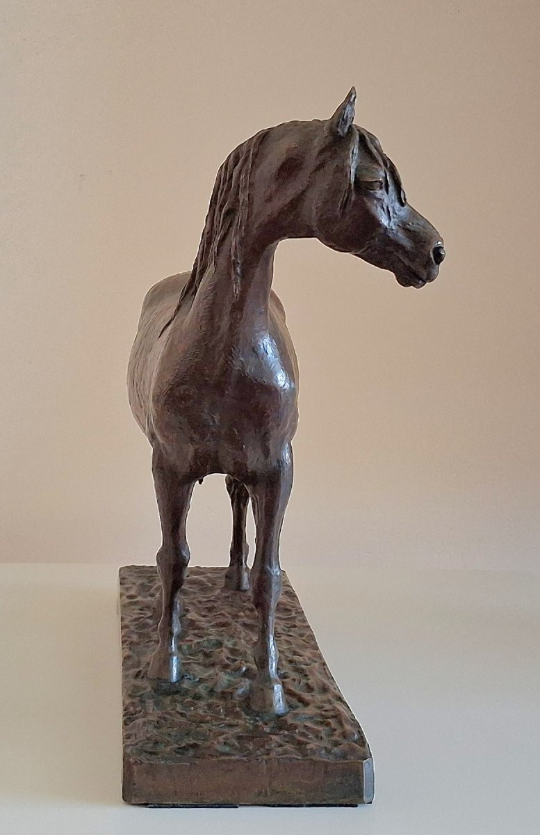 Hercule par C. Fratin-photo-4