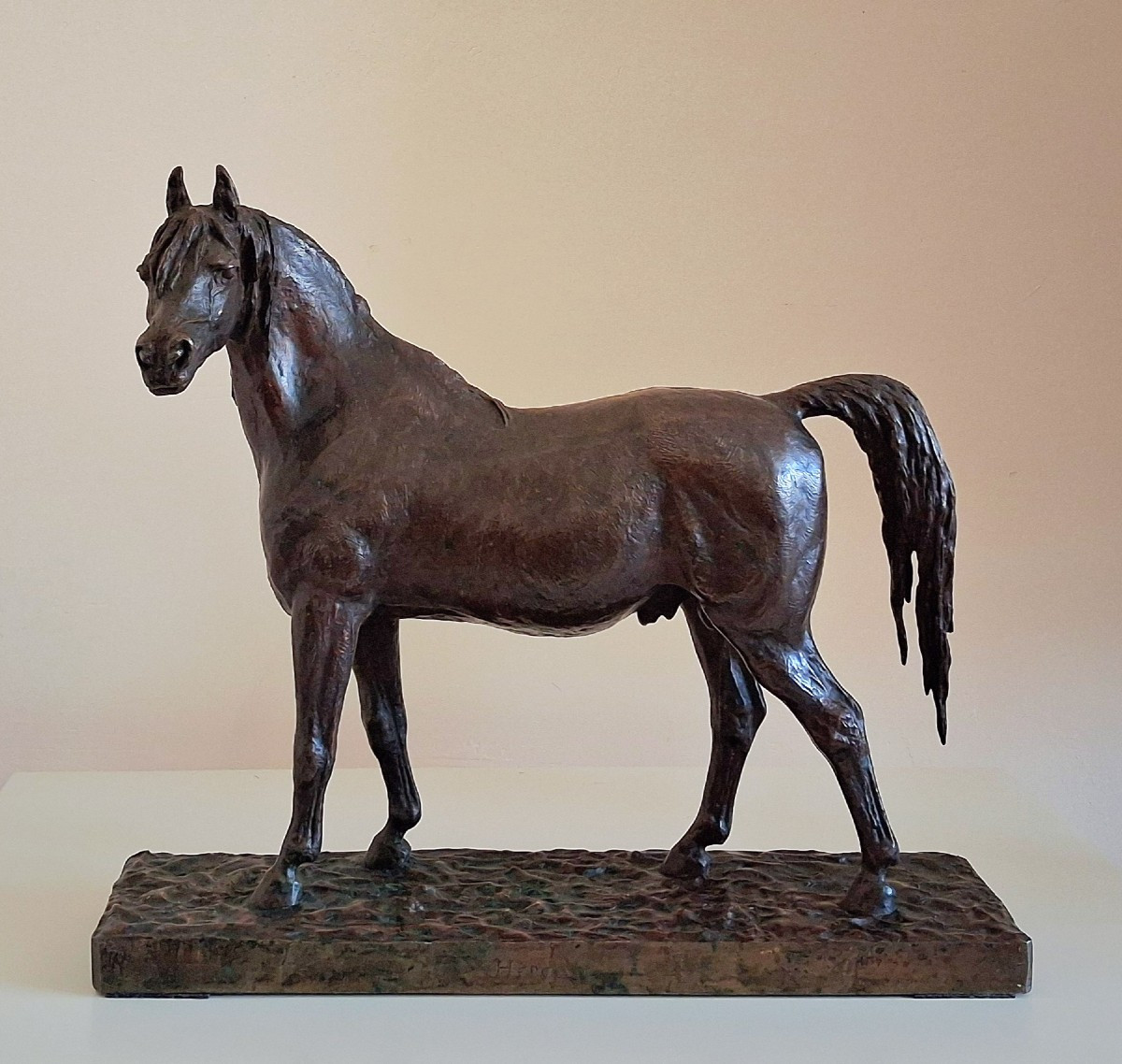 Hercule par C. Fratin