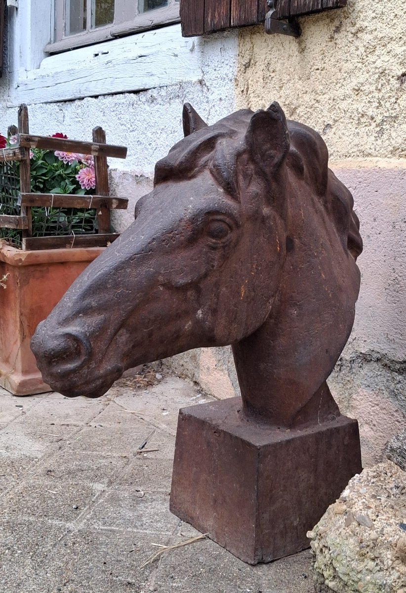 Two Horse Heads-photo-2