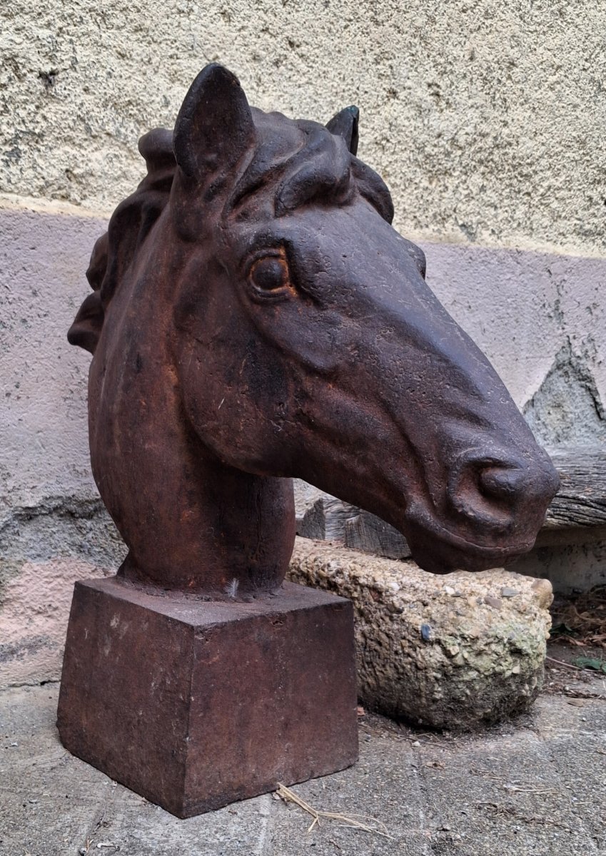 Two Horse Heads-photo-3