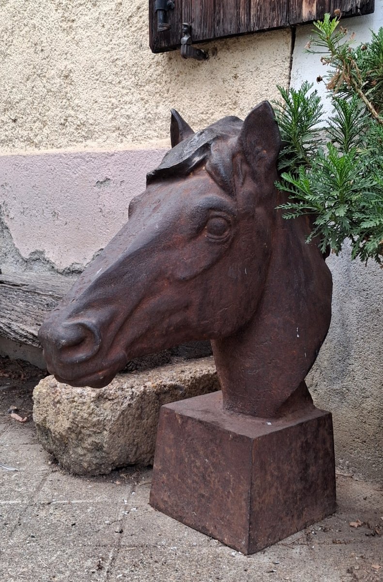 Two Horse Heads-photo-4