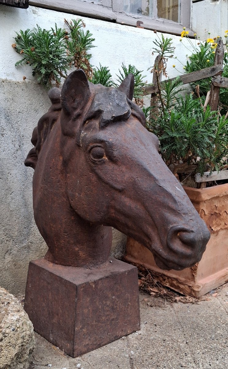 Two Horse Heads-photo-1