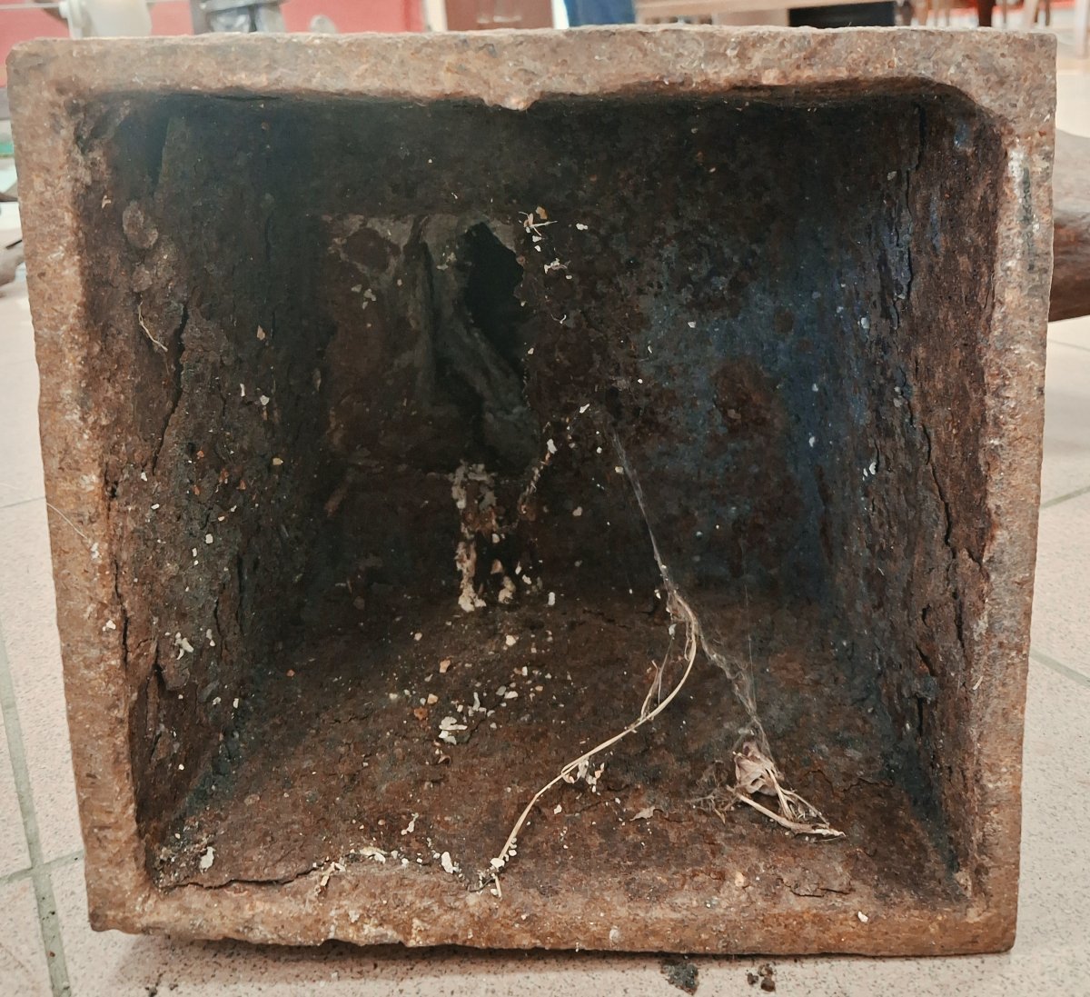 Two Horse Heads-photo-3