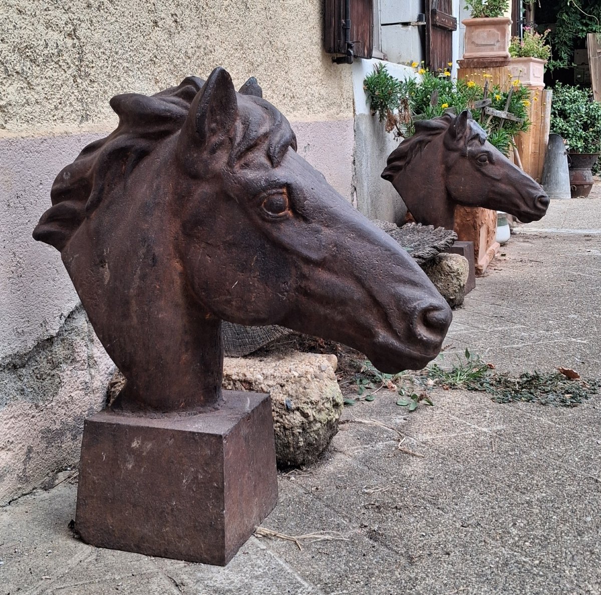 Two Horse Heads