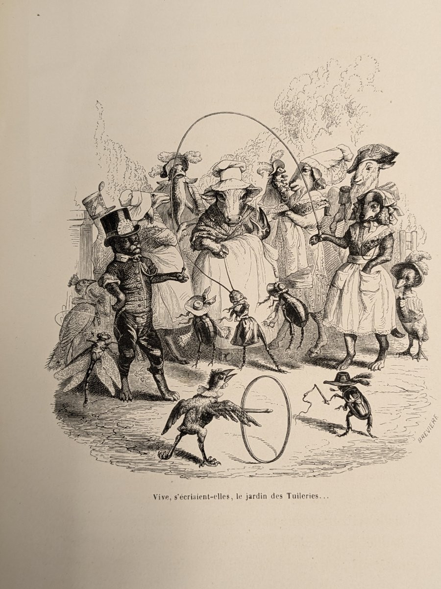 Scenes From The Private And Public Life Of Animals - Grandville - 1842 Volume 2-photo-1