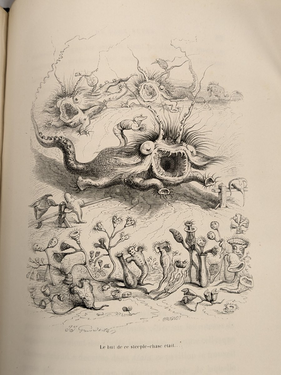Scenes From The Private And Public Life Of Animals - Grandville - 1842 Volume 2-photo-3