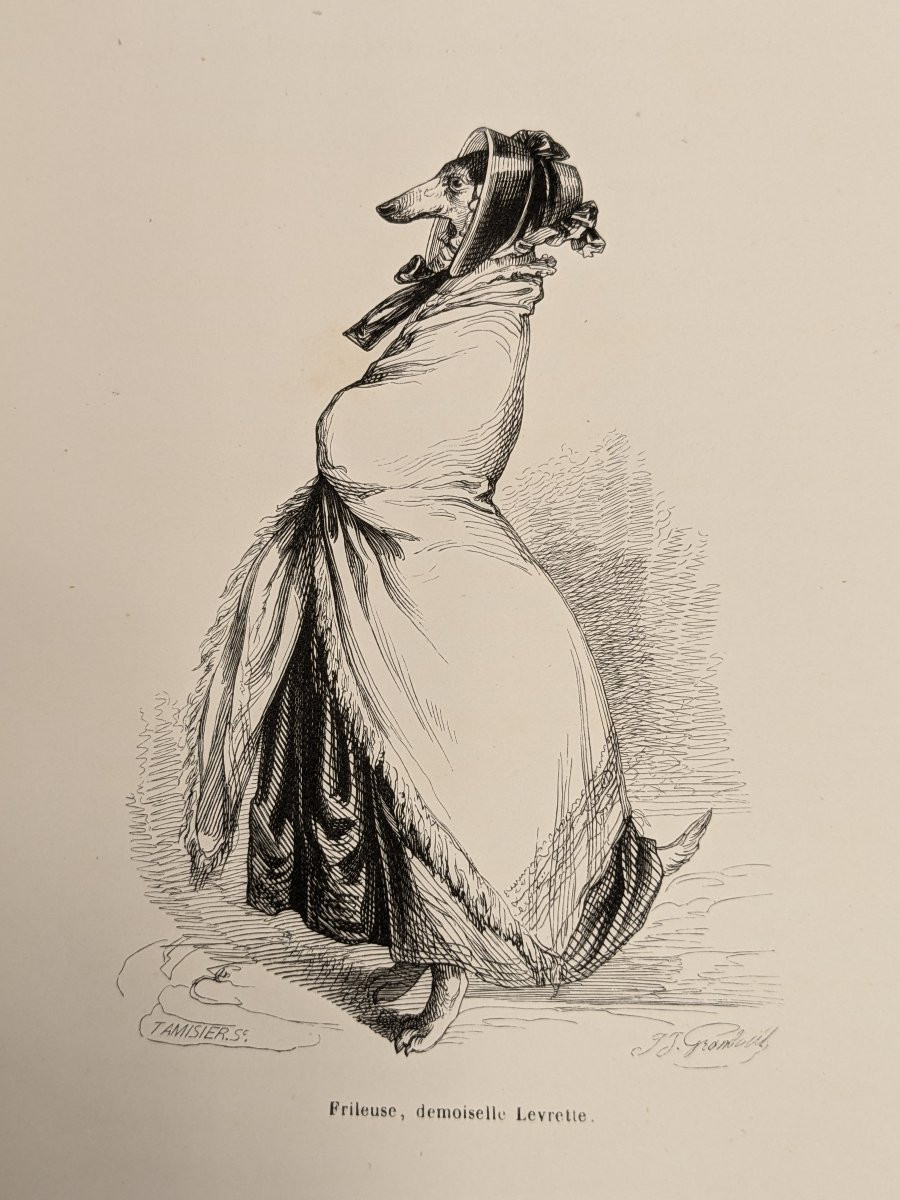 Scenes From The Private And Public Life Of Animals - Grandville - 1842 Volume 2-photo-7