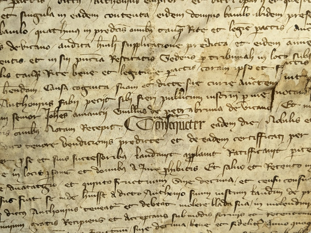 Parchemin XIVe siécle - testament Amédée de Saint-Jean, chevalier - Savoie 1367 /n°5-photo-4