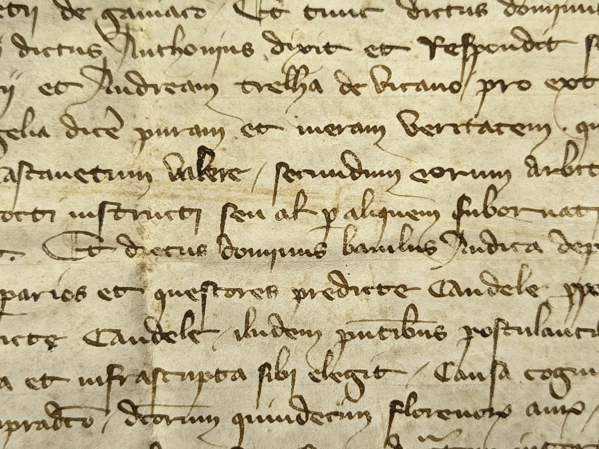 Parchemin XIVe siécle - testament Amédée de Saint-Jean, chevalier - Savoie 1367 /n°5-photo-6