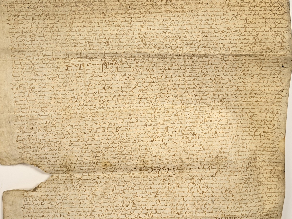 Parchemin 1518 avec dessin - rente pour Philibert de Cevins, conseiller duc de Savoie-photo-3